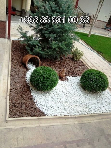  sichka.uz in Khorezm Cost Video Review Photo, sichka.uz in Syrdarya Cost Video Review Photo, sichka.uz in Uzbekistan Price Photo Video Cost ReView, sichka.uz in Namangan Price Photo Video Cost, sichka.uz в Андижане Цена Фото Обзор, sichka.uz in Kashkadarya Cost Video Review Photo, Xorazm sichka.uz Narxi Video Foto Rasm, Qoraqalpog‘iston Nukus sichka.uz Narxi Rasm Video Foto Narxi, sichka.uz Самарканде Цена Фото Обзор, sichka.uz in Surkhandarya Cost Video Review Photo, sichka.uz в Кашкадарье Цена Фото Обзор, sichka.uz Самарканде Цена Фото Обзор, Jizzax sichka.uz Video Narxi Rasm Foto, sichka.uz in Andijan Cost Video Review Photo, sichka.uz Сурхандарье Фото Цена Обзор Видео, Surxondaryo sichka.uz Narxi Rasm Video Foto, sichka.uz Нукусе Цена Фото Обзор, Namangan sichka.uz Video Foto Narxi Rasm, sichka.uz в Ташкенте Узбекистане Цена Фото Обзор, sichka.uz in Nukus Photo Video Cost ReView Price, sichka.uz в Ташкенте Узбекистане Цена Фото Обзор, sichka.uz in Karakalpakstan Nukus Cost Video Review Photo, sichka.uz in Fergana Photo Cost Video Review, Samarqand sichka.uz Foto Narxi Rasm Video Abzor, Qashqadaryo sichka.uz Narxi Rasm Video Foto, sichka.uz Джизаке, sichka.uz Навои Цена Фото Обзор, sichka.uz in Jizzakh Cost Video Review Photo, sichka.uz in Bukhara Cost Video Review Photo, sichka.uz in Navoi Cost Photo Video Review, Nukus sichka.uz Narxi, sichka.uz в Каракалпакистане Нукусе Цена Фото Обзор, sichka.uz in Samarkand Price Photo Video Cost, sichka.uz Хорезме Фото Цена Обзор, Sirdaryo sichka.uz Narxi Rasm Video Abzor Foto, O'zbekiston sichka.uz, Andijon sichka.uz Narxi Rasm Foto Video, Buxoro sichka.uz Video Narxi Rasm Foto, Farg'ona sichka.uz Narxi Video Foto Rasm, rasm, sichka.uz в Бухаре Цена Фото Обзор, Navoiy sichka.uz Video Foto Narxi Rasm, sichka.uz Фергане Фото Цена Обзор, sichka.uz в Сырдарье Цена Фото Обзор, sichka.uz Намангане Цена Фото Обзор 