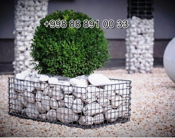  sichka.uz in Syrdarya Cost Video Review Photo, sichka.uz in Fergana Photo Cost Video Review, sichka.uz Сурхандарье Фото Цена Обзор Видео, Xorazm sichka.uz Narxi Video Foto Rasm, sichka.uz Самарканде Цена Фото Обзор, Sirdaryo sichka.uz Narxi Rasm Video Abzor Foto, sichka.uz в Кашкадарье Цена Фото Обзор, sichka.uz in Samarkand Price Photo Video Cost, sichka.uz в Андижане Цена Фото Обзор, sichka.uz Хорезме Фото Цена Обзор, Navoiy sichka.uz Video Foto Narxi Rasm, sichka.uz в Сырдарье Цена Фото Обзор, Nukus sichka.uz Narxi, sichka.uz in Karakalpakstan Nukus Cost Video Review Photo, sichka.uz в Ташкенте Узбекистане Цена Фото Обзор, Qashqadaryo sichka.uz Narxi Rasm Video Foto, Andijon sichka.uz Narxi Rasm Foto Video, Qoraqalpog‘iston Nukus sichka.uz Narxi Rasm Video Foto Narxi, Buxoro sichka.uz Video Narxi Rasm Foto, sichka.uz in Andijan Cost Video Review Photo, O'zbekiston sichka.uz, sichka.uz Джизаке, sichka.uz в Ташкенте Узбекистане Цена Фото Обзор, sichka.uz в Бухаре Цена Фото Обзор, Samarqand sichka.uz Foto Narxi Rasm Video Abzor, sichka.uz in Uzbekistan Price Photo Video Cost ReView, sichka.uz Намангане Цена Фото Обзор, sichka.uz in Kashkadarya Cost Video Review Photo, Farg'ona sichka.uz Narxi Video Foto Rasm, rasm, sichka.uz Нукусе Цена Фото Обзор, sichka.uz Фергане Фото Цена Обзор, sichka.uz in Jizzakh Cost Video Review Photo, sichka.uz in Bukhara Cost Video Review Photo, sichka.uz in Surkhandarya Cost Video Review Photo, sichka.uz Навои Цена Фото Обзор, sichka.uz in Nukus Photo Video Cost ReView Price, sichka.uz in Navoi Cost Photo Video Review, sichka.uz in Namangan Price Photo Video Cost, sichka.uz в Каракалпакистане Нукусе Цена Фото Обзор, Namangan sichka.uz Video Foto Narxi Rasm, sichka.uz in Khorezm Cost Video Review Photo, sichka.uz Самарканде Цена Фото Обзор, Jizzax sichka.uz Video Narxi Rasm Foto, Surxondaryo sichka.uz Narxi Rasm Video Foto 