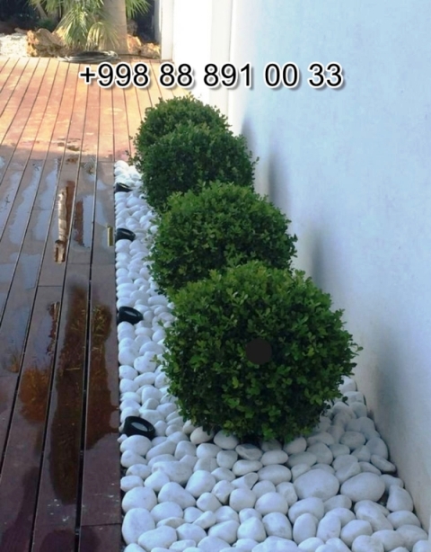  Navoiy sichka.uz Video Foto Narxi Rasm, sichka.uz в Андижане Цена Фото Обзор, Andijon sichka.uz Narxi Rasm Foto Video, Surxondaryo sichka.uz Narxi Rasm Video Foto, sichka.uz Намангане Цена Фото Обзор, Jizzax sichka.uz Video Narxi Rasm Foto, sichka.uz в Кашкадарье Цена Фото Обзор, sichka.uz in Fergana Photo Cost Video Review, sichka.uz Хорезме Фото Цена Обзор, sichka.uz in Uzbekistan Price Photo Video Cost ReView, Farg'ona sichka.uz Narxi Video Foto Rasm, rasm, sichka.uz Сурхандарье Фото Цена Обзор Видео, sichka.uz в Каракалпакистане Нукусе Цена Фото Обзор, Qoraqalpog‘iston Nukus sichka.uz Narxi Rasm Video Foto Narxi, sichka.uz Самарканде Цена Фото Обзор, sichka.uz Навои Цена Фото Обзор, sichka.uz in Surkhandarya Cost Video Review Photo, Nukus sichka.uz Narxi, O'zbekiston sichka.uz, sichka.uz in Karakalpakstan Nukus Cost Video Review Photo, sichka.uz in Syrdarya Cost Video Review Photo, sichka.uz в Бухаре Цена Фото Обзор, sichka.uz in Nukus Photo Video Cost ReView Price, sichka.uz in Bukhara Cost Video Review Photo, sichka.uz in Jizzakh Cost Video Review Photo, Qashqadaryo sichka.uz Narxi Rasm Video Foto, sichka.uz Самарканде Цена Фото Обзор, Buxoro sichka.uz Video Narxi Rasm Foto, sichka.uz Нукусе Цена Фото Обзор, Samarqand sichka.uz Foto Narxi Rasm Video Abzor, sichka.uz in Khorezm Cost Video Review Photo, Xorazm sichka.uz Narxi Video Foto Rasm, sichka.uz in Namangan Price Photo Video Cost, sichka.uz Фергане Фото Цена Обзор, sichka.uz в Ташкенте Узбекистане Цена Фото Обзор, sichka.uz in Kashkadarya Cost Video Review Photo, Namangan sichka.uz Video Foto Narxi Rasm, sichka.uz в Ташкенте Узбекистане Цена Фото Обзор, sichka.uz in Andijan Cost Video Review Photo, sichka.uz в Сырдарье Цена Фото Обзор, sichka.uz in Navoi Cost Photo Video Review, Sirdaryo sichka.uz Narxi Rasm Video Abzor Foto, sichka.uz Джизаке, sichka.uz in Samarkand Price Photo Video Cost 